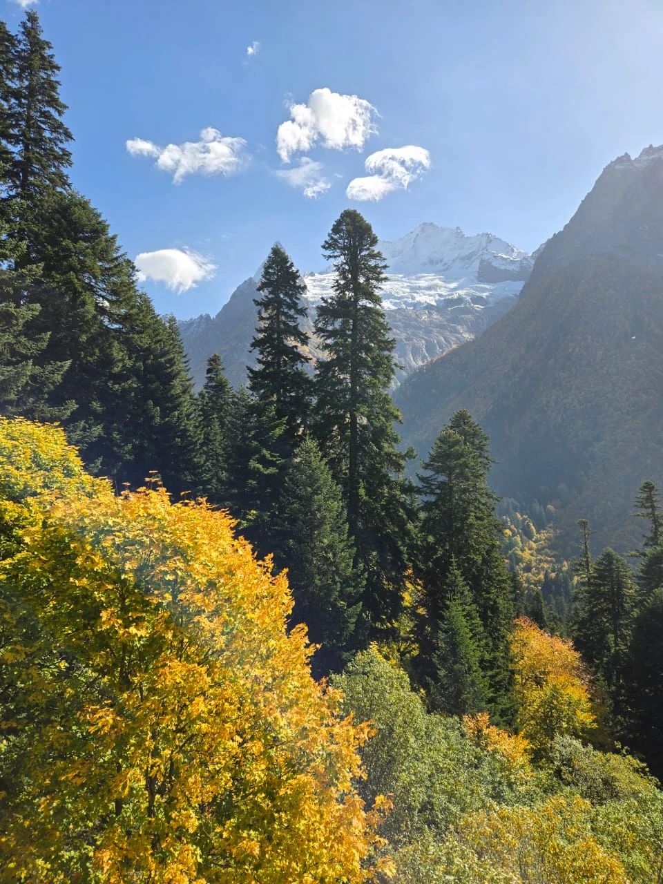 В Домбай с Дмитрием 6 октября 2025 (компанией из 4 человек) сьездили отлично! Ехали из Ессентуков