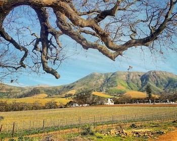 Винный день и возвращение в Кейптаун