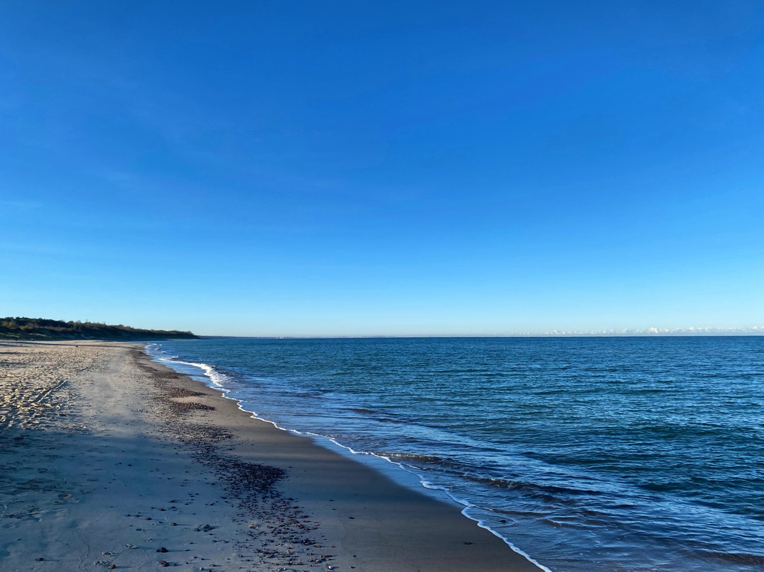 Комфортная поездка на Куршскую косу (Вероника)