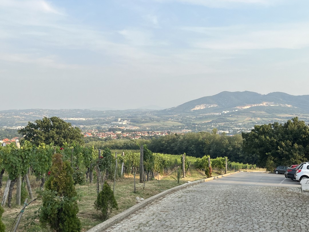 Огромное спасибо за классную экскурсию, сочетающую в себе посещение термальных источников и винодельни, хочу поделиться своими