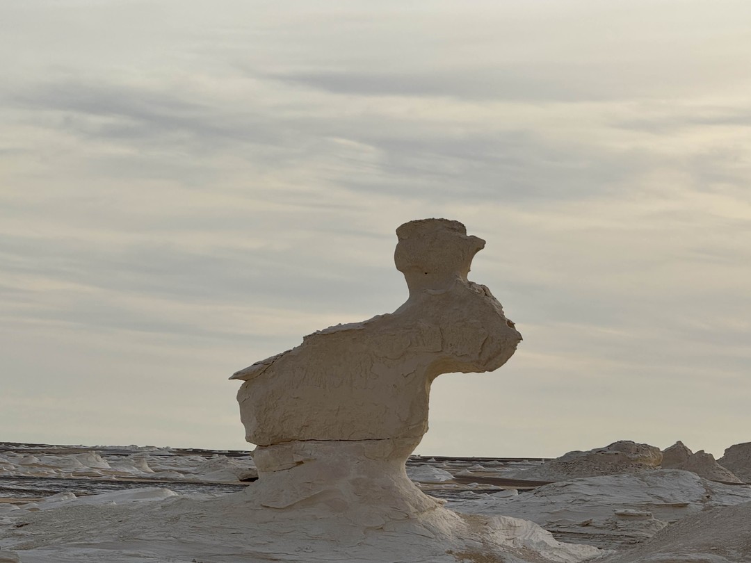 Выбор этой экскурсии был по причине её эксклюзивности, мало кто предлагал аналогичные, а так же по