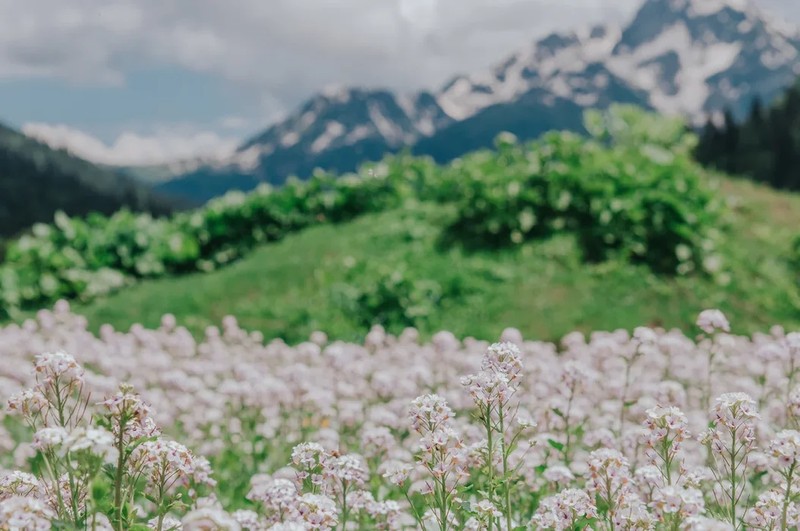 Горная Абхазия, фото и пикник на альпийских лугах! (Из Сочи)