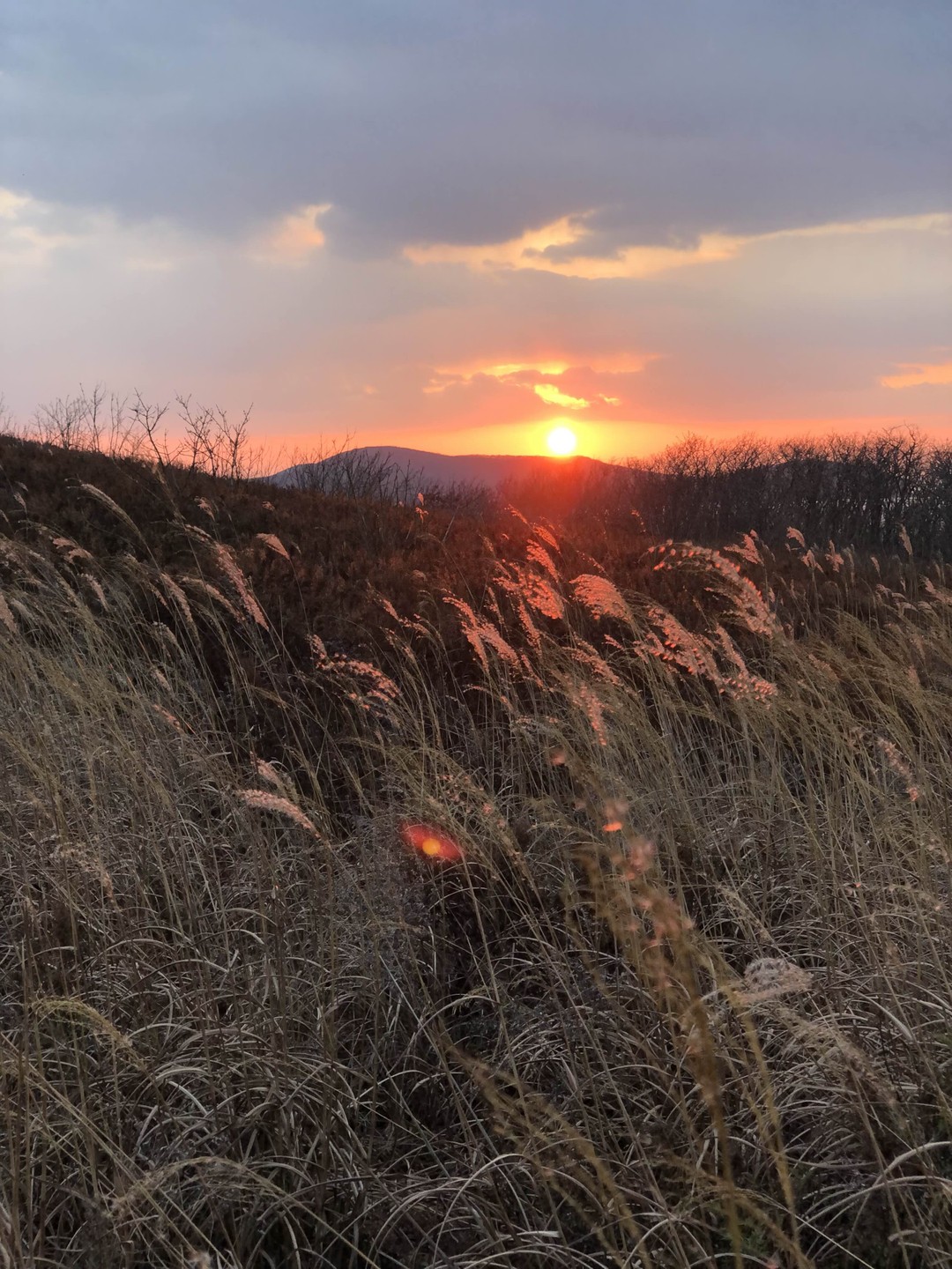Топ-5 мысов острова Русский (Лилия)