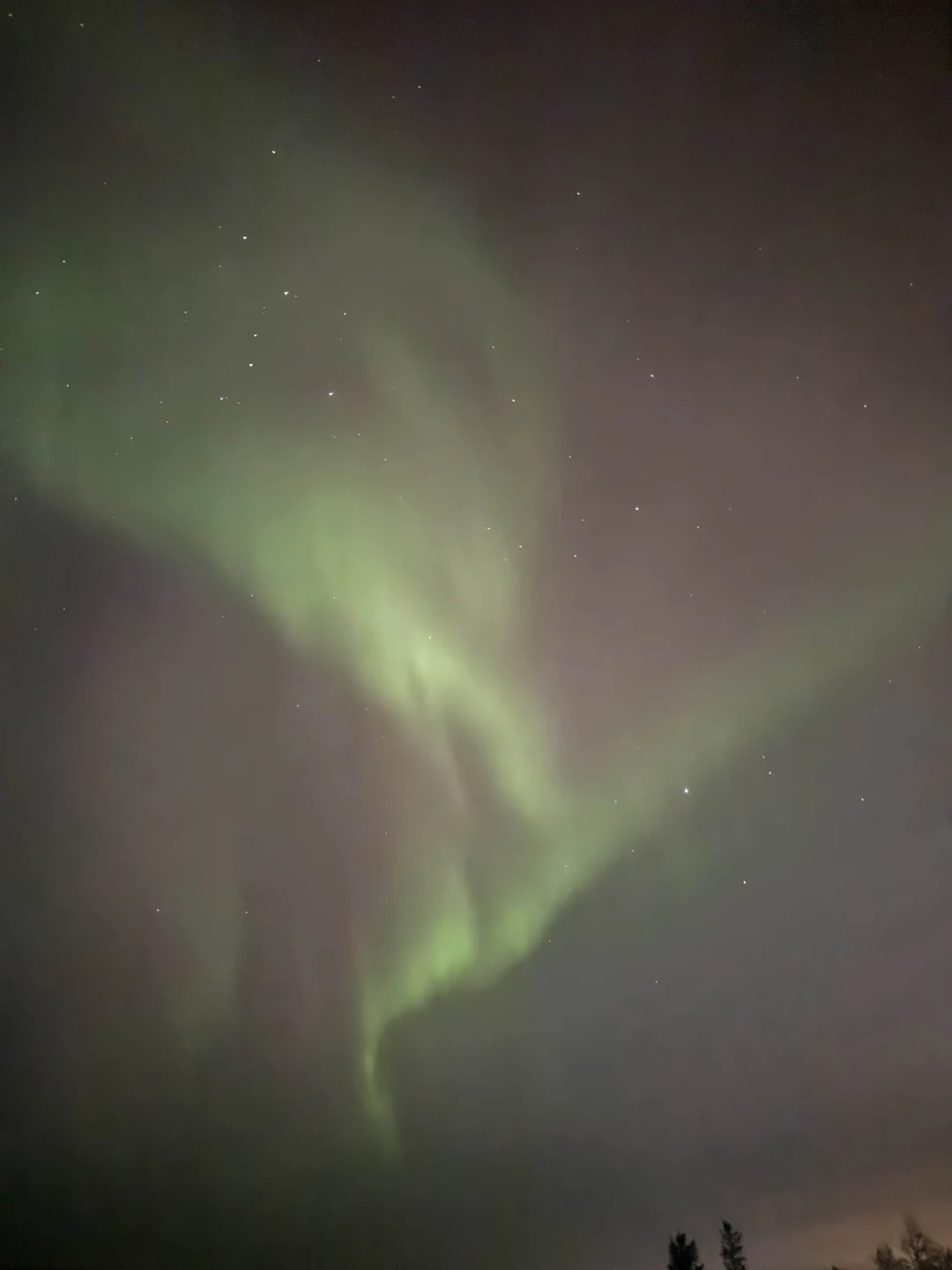 Северное сияние: увидеть главное чудо Заполярья (Алиса)