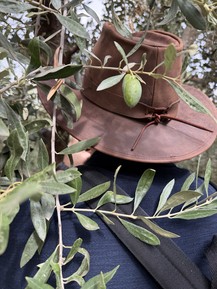 Фото отзыва 1: экскурсия "Вино и оливки Мендосы"