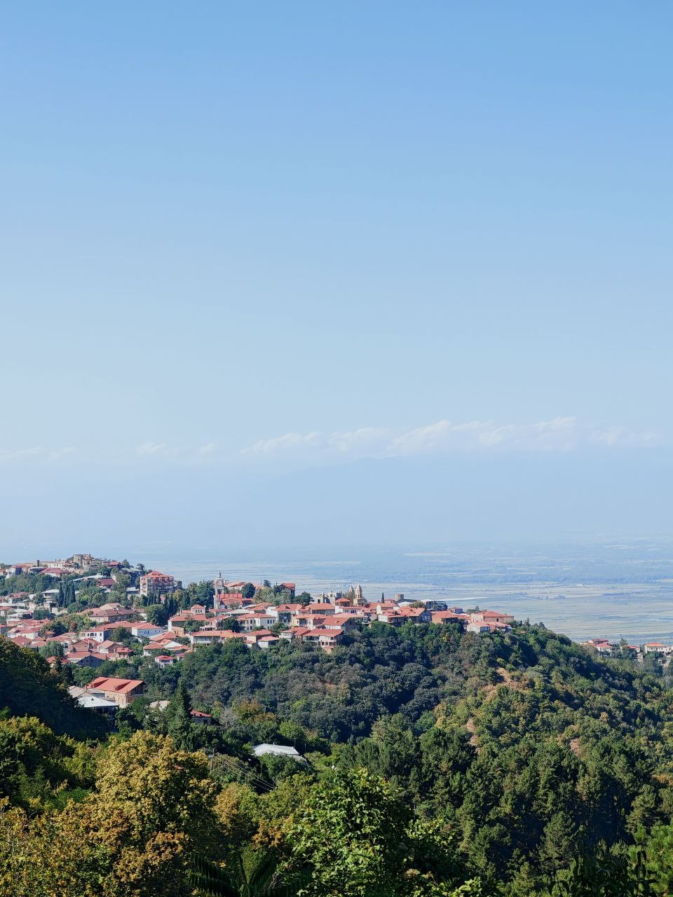 Отличная экскурсия по Сигнахи! Гиды — семейная пара — очень приятные и интересные люди. Их рассказы