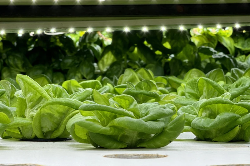 Усадьба Лермонтова + дегустация на акваферме - из Москвы