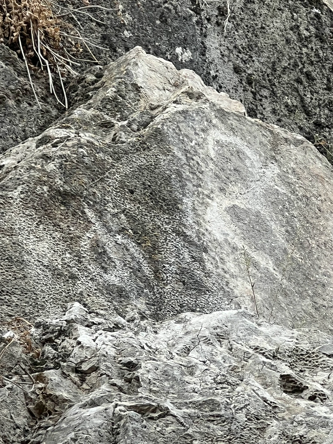 Спасибо большое за чудесную поездку в горы, отдохнула всей душой и налюбовалась красотой природы. Игорь отличный