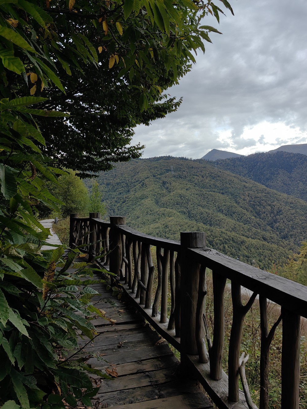 В «Розу Хутор» — через посёлок Красная Поляна (13/21)