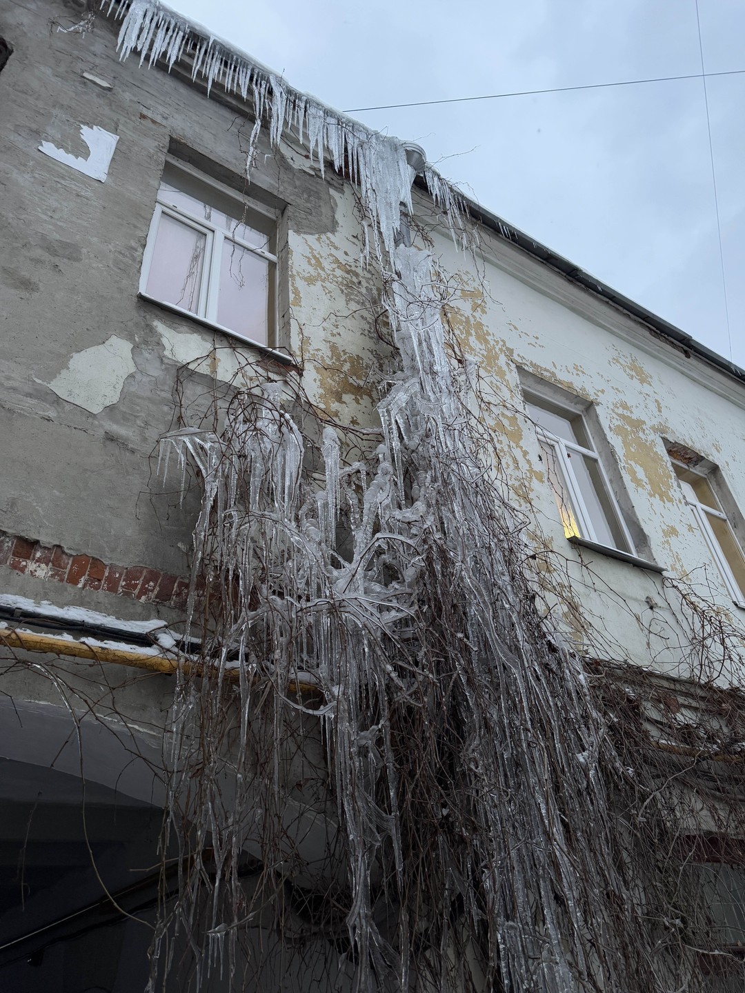 Экскурсия понравилась. Было холодно, но мы справились. Гид приятная девушка. Рекомендую