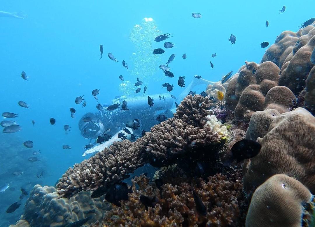На Фукуоке ничего интересного рядом с отелем не увидеть. Чтобы увидеть подводный мир надо плыть на