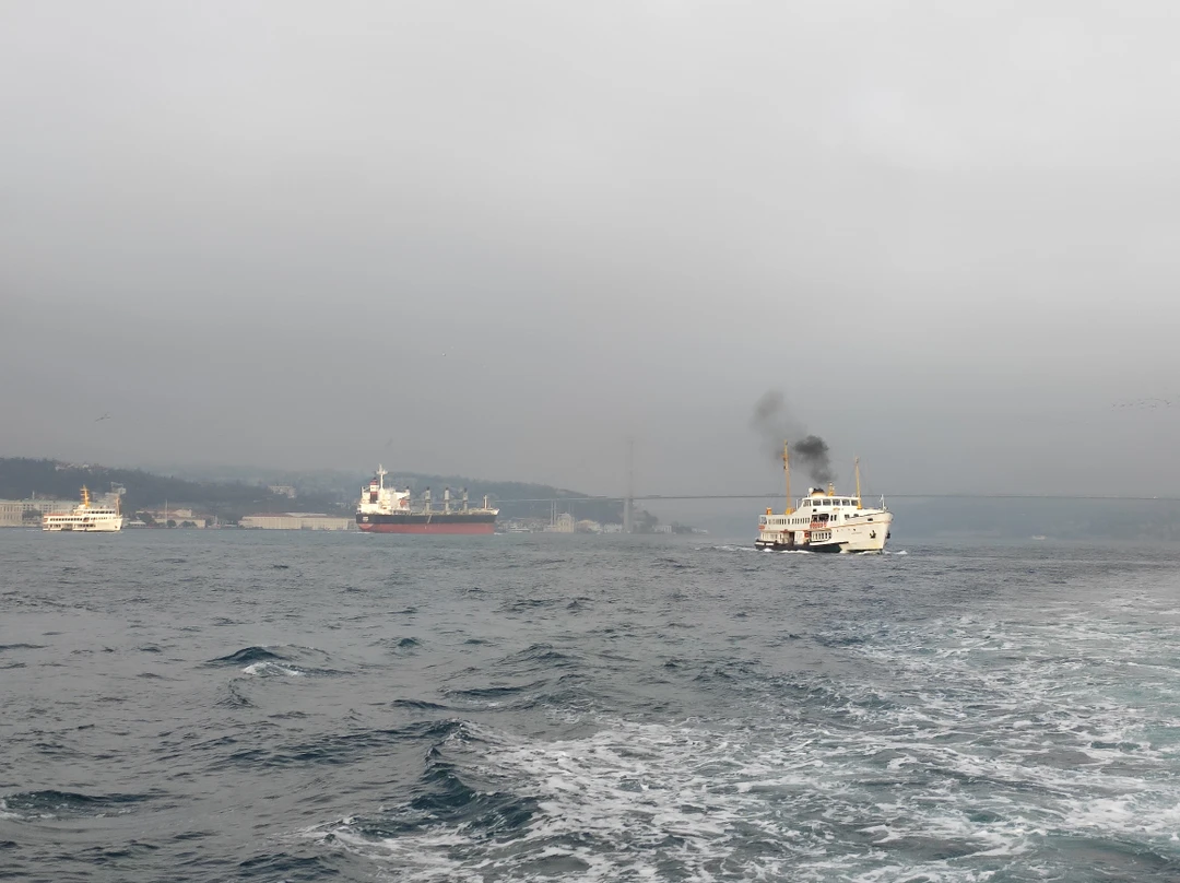 Знакомство со Стамбулом: Старый город + прогулка по Босфору (Маргарита)