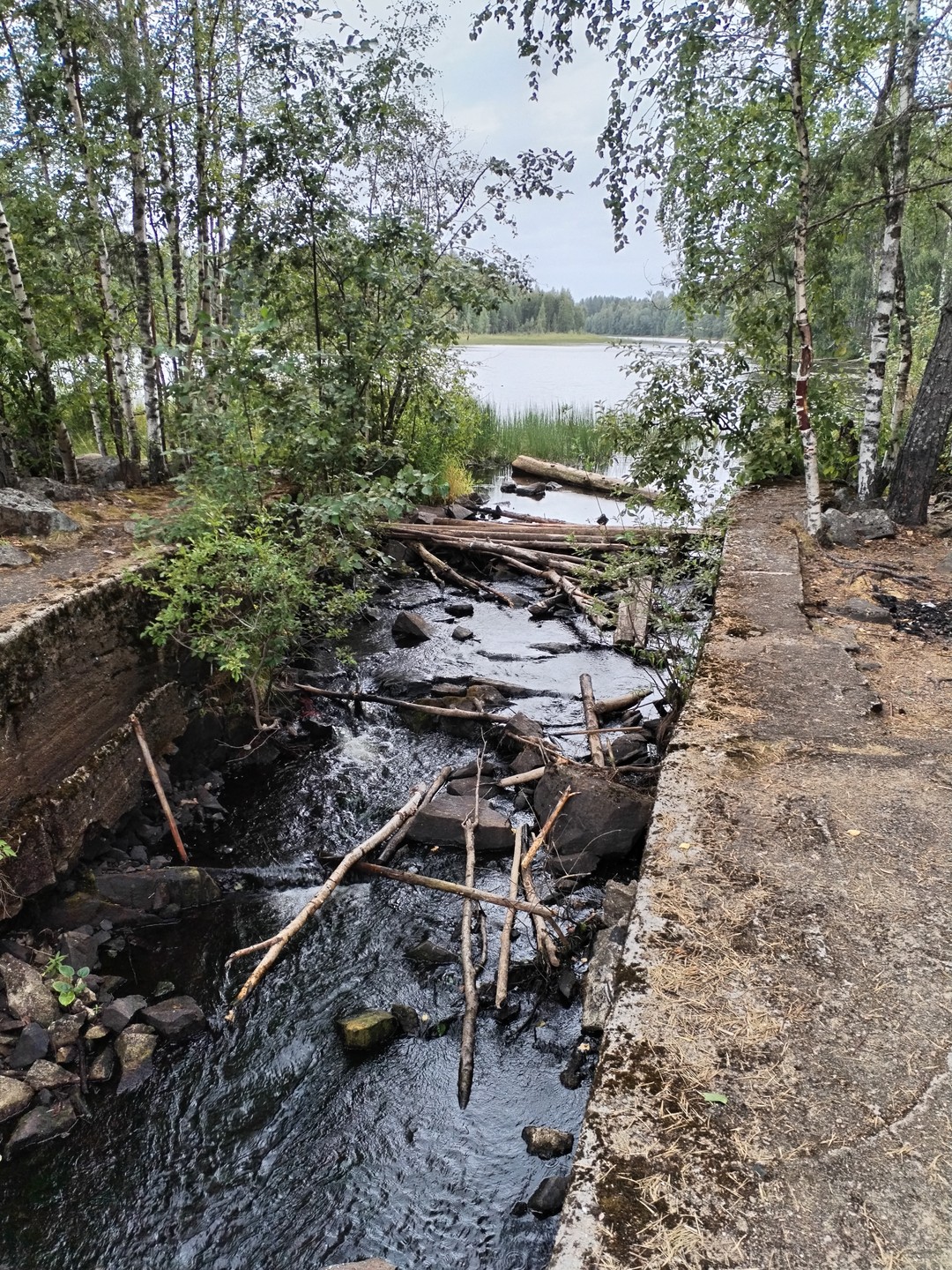 Путешествие по Карелии из Петрозаводска (Екатерина)