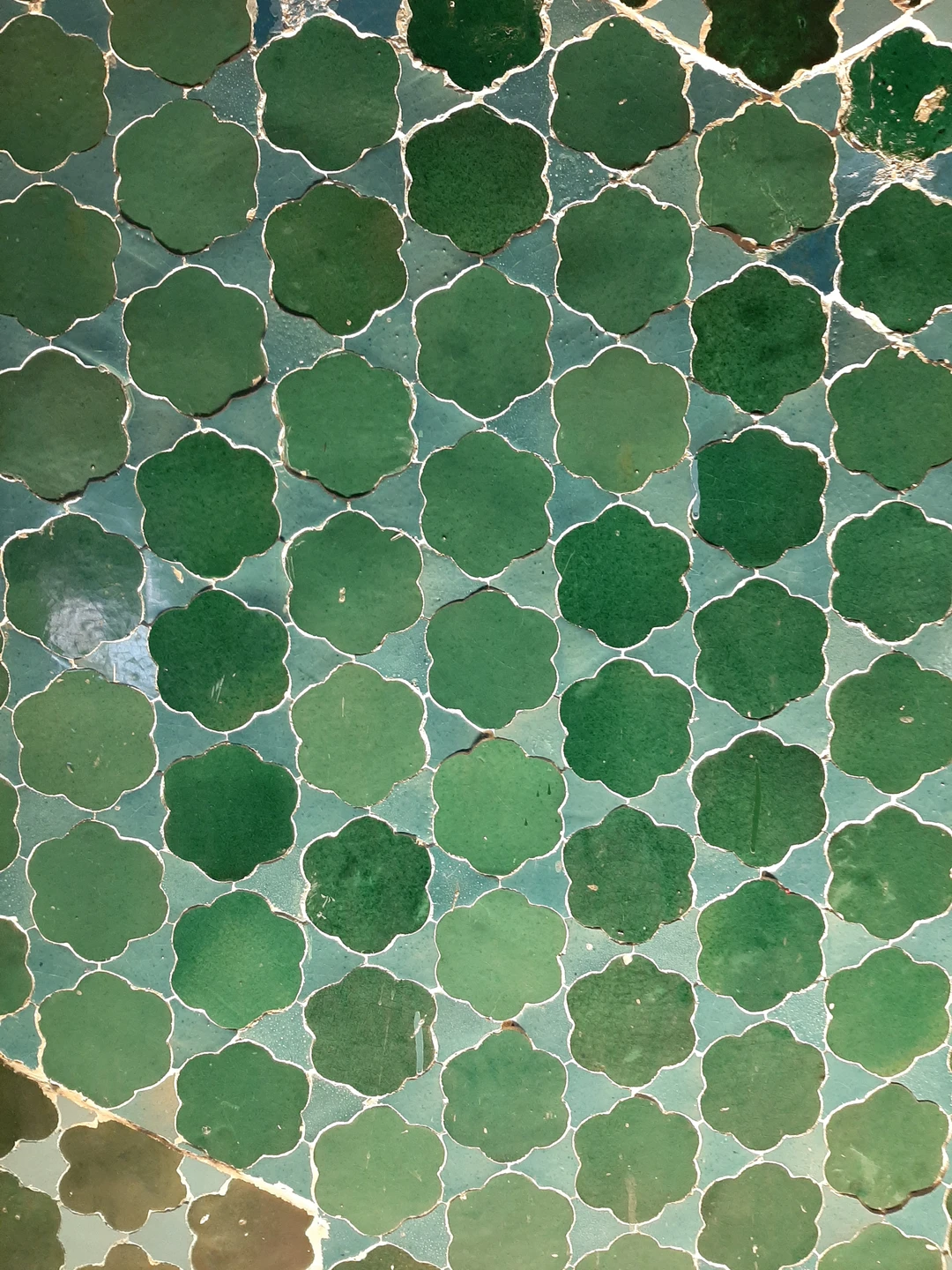 Погружение в Самарканд: 5 часов красоты и истории (Анжелика)