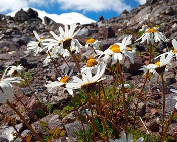 Место силы - гора Сирх