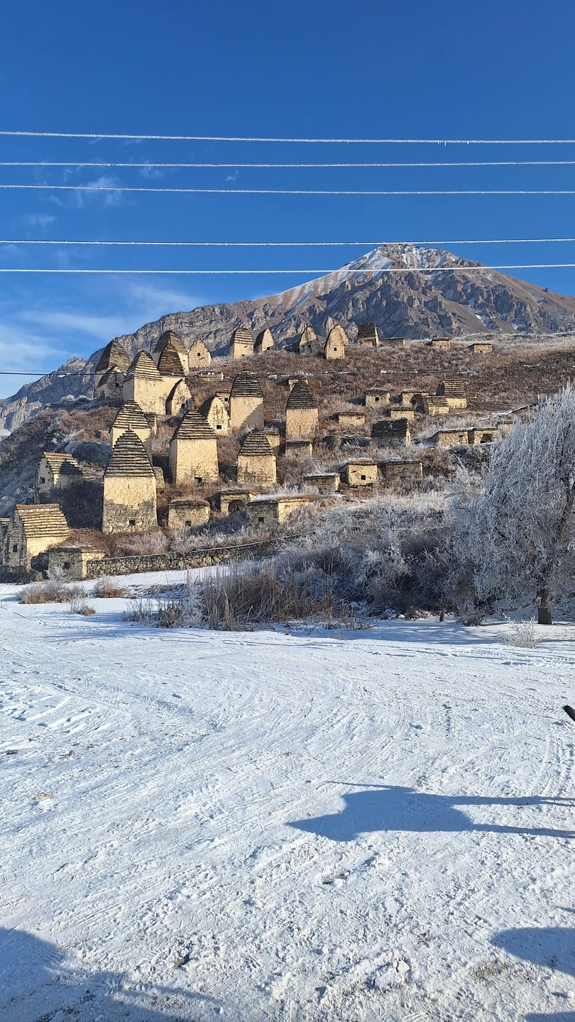 Прекраснейшая экскурсия! Это тот редкий случай, когда всё совпало: интересные рассказы гида, отличная активная компания, чудесная