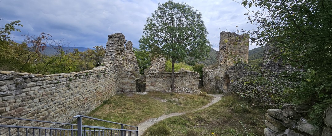 Большой день в Кахетии (Татьяна)