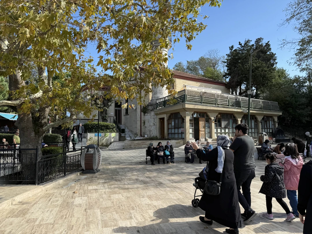 Большое спасибо за прекрасную экскурсию. Чудесная девушка Мона приехала вовремя и много нам интересного рассказала и показала