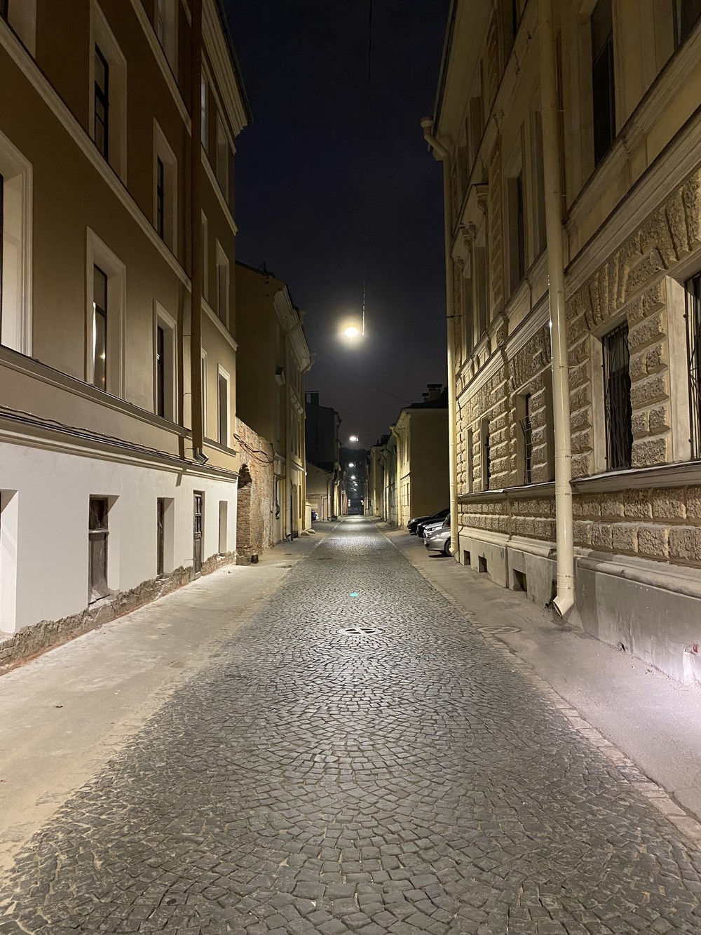 Семь мостов Петербурга с разведением или без: большая обзорная экскурсия (7/7)