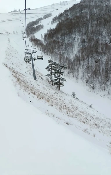 Экскурсия замечательная! Отличный минивэн, первоклассный водитель и супер-гид Джимми! Читала отзывы про него и попали к