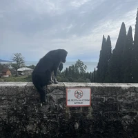 Фото отзыва 2: экскурсия "Абхазия с открытки — из Сочи и Адлера"