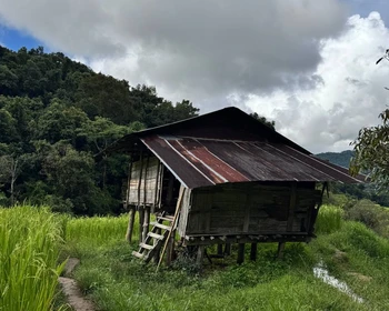 Мае Салонг - чайные плантации и китайская культура