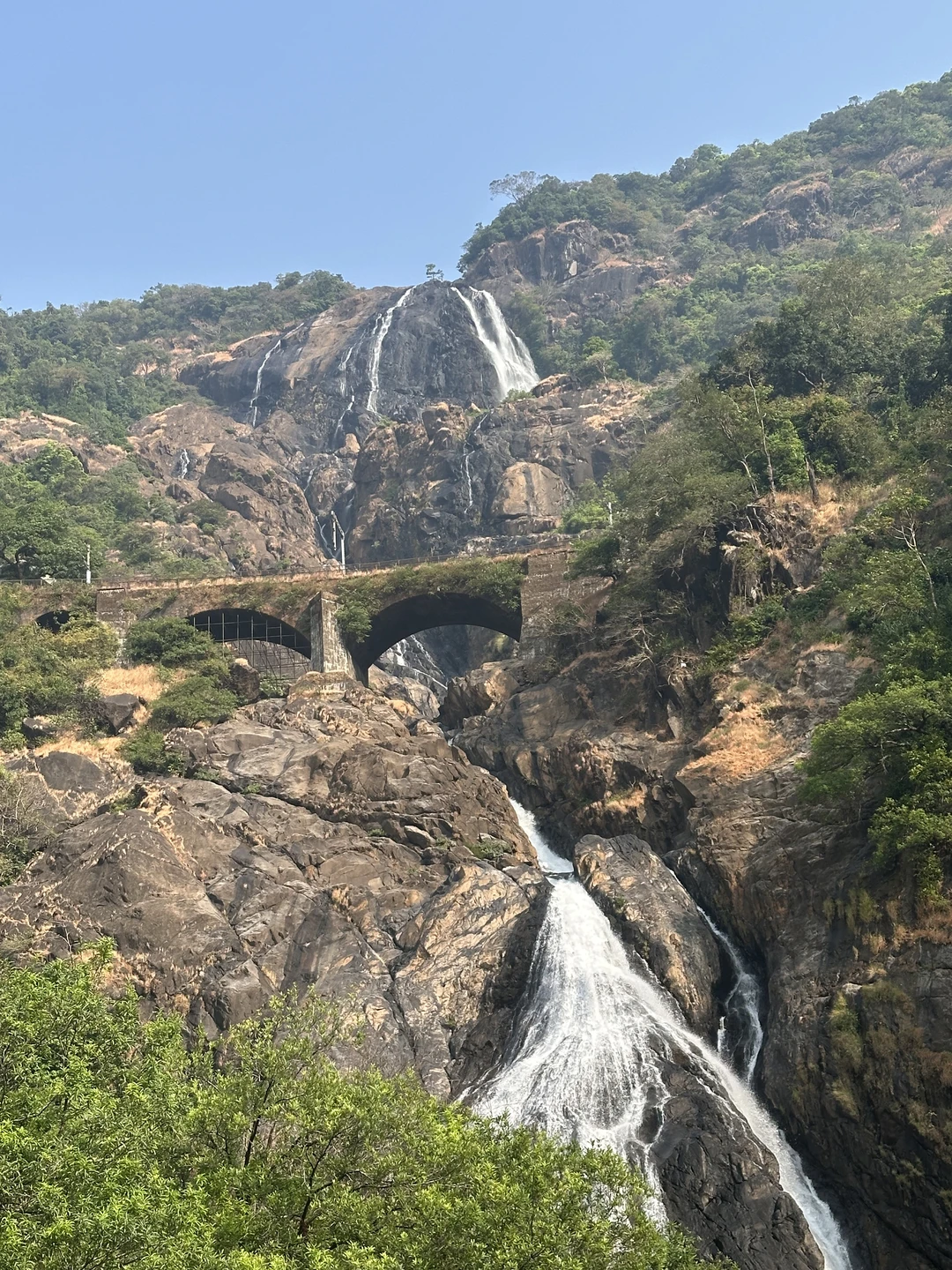 Отличная экскурсия, интересно и познавательно. Яна очень вовлечено отвечала на все вопросы, рассказала много нового для нас