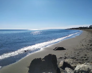 Свободный день