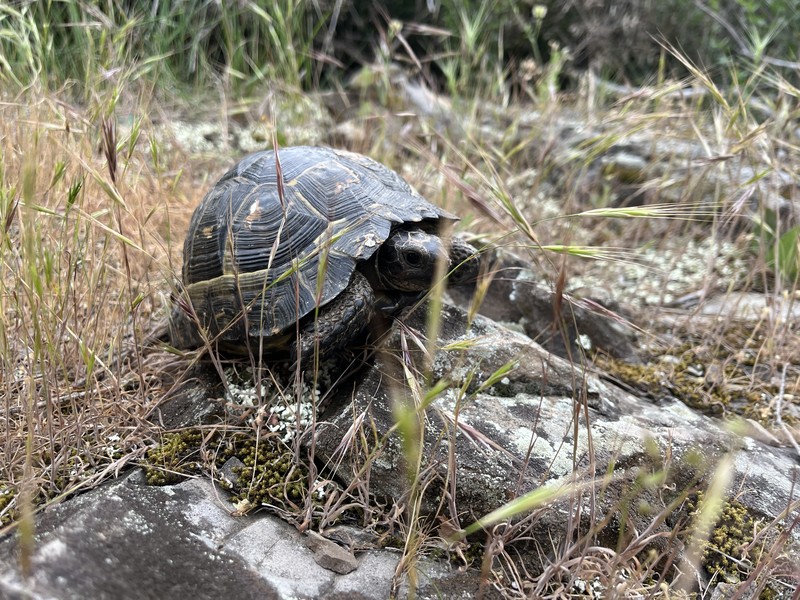Кипарисовое озеро: в мини-группе из Анапы