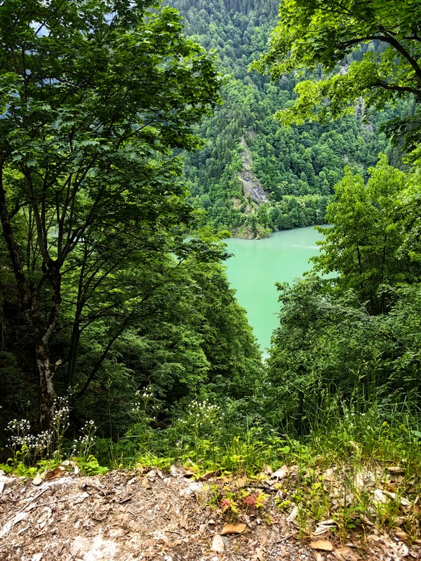 Абхазия круглый год! (Из Адлера)