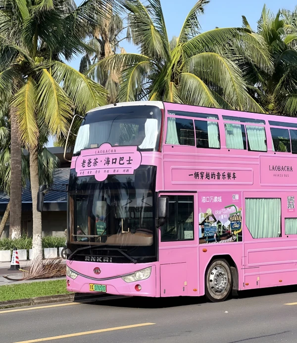 3 часа по Хайкоу: автобус-чайная Dad Tea и прогулка на Цилоу