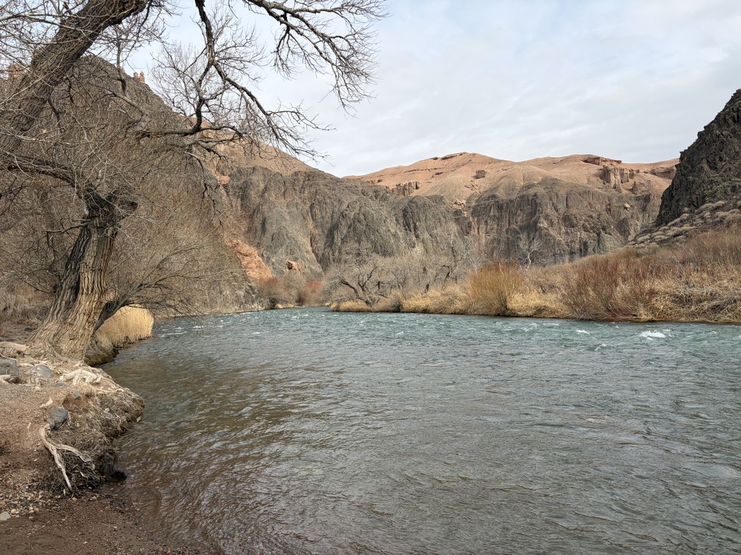 Отличная экскурсия, отличная организация, отличный гид!