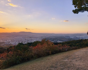 Прогулка по парку с оленями, храм Тодай-дзи и святилище Касуга тайся