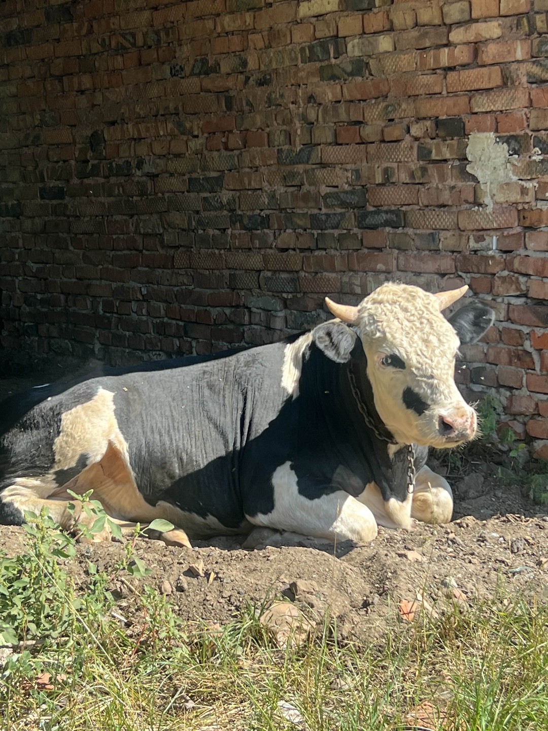 Ребяяятааа,экскурсия огонь 🔥