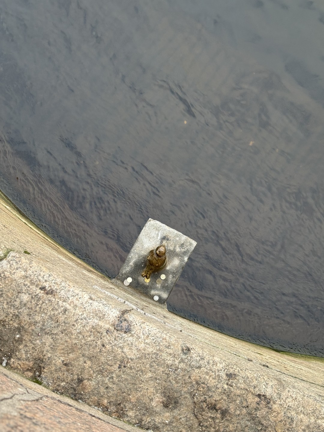 Мистический Петербург (Диана)