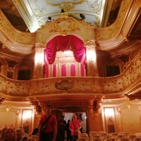 Фото отзыва 1: экскурсия "Юсуповский дворец: парадные залы и тайна убийства Распутина"