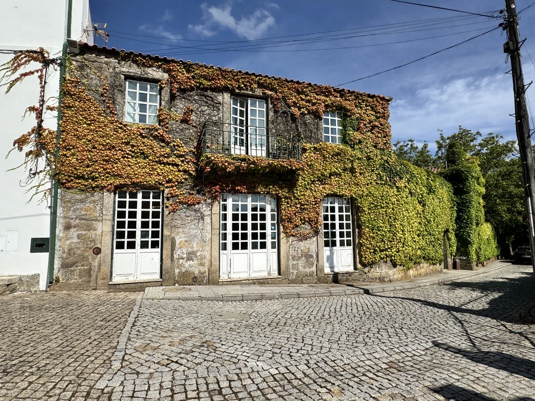 Это было легендарно! Нам очень понравилось все, что Василий нам организовал, предварительно уточнив наши пожелания. А