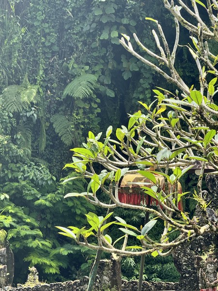 Отличная экскурсия, большое спасибо гиду Силе, прекрасно владеет русским языком, шутит, атмосфера в поездке чудесная! Узнали