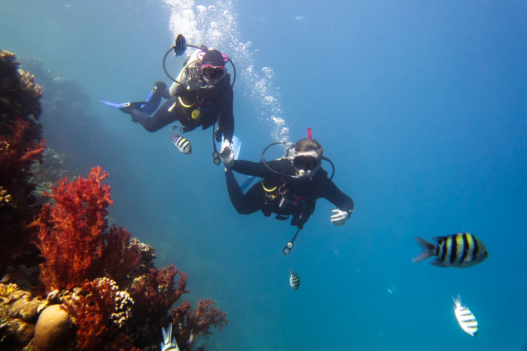 Вадим максимально комфортно познакомил нас с подводным миром и культурой дайвинга. Настолько трепетного подхода со стороны