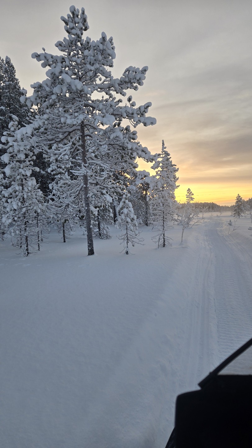 Зимнее сафари по кольской тундре (Дмитрий)
