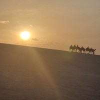 reviews img