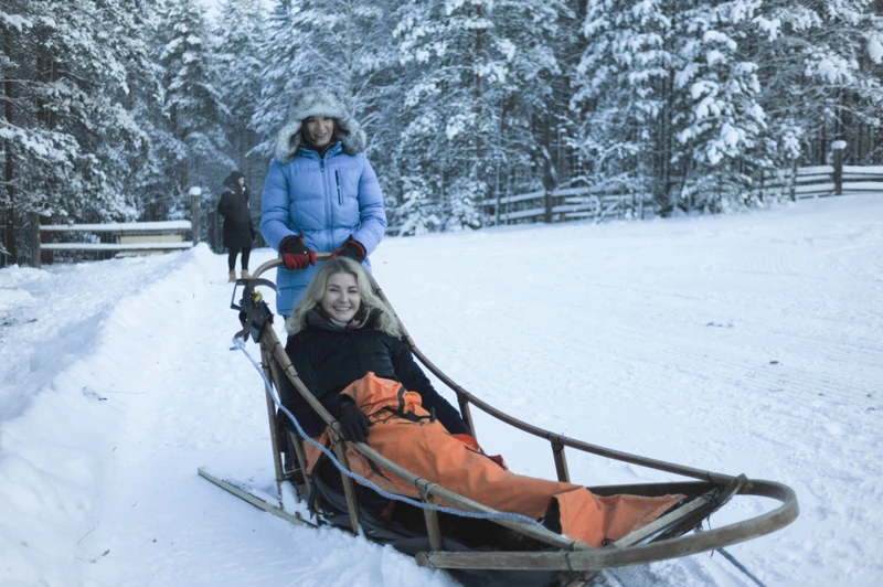 Прокатиться на собачьей упряжке в Карелии