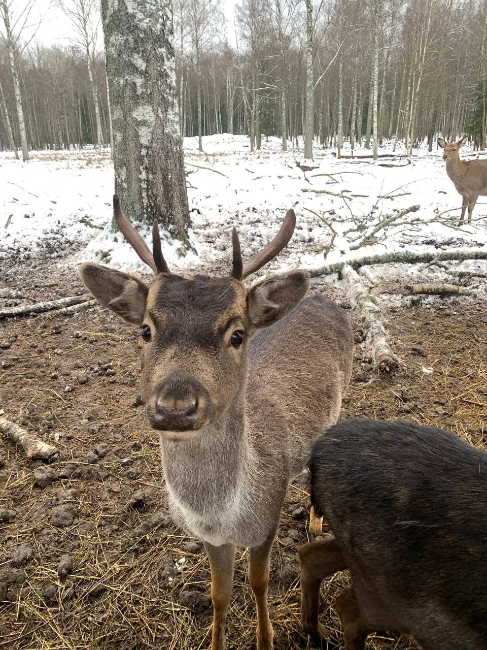 Выражаю огромную благодарность Анне и Алексею! Все было организовано на высшем уровне, с заботой о гостях