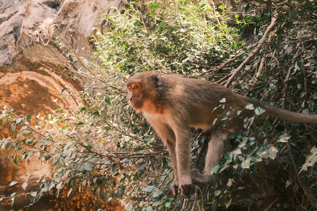 Замечательная экскурсия с лучшим гидом, которого встречал! Однозначно всем рекомендую