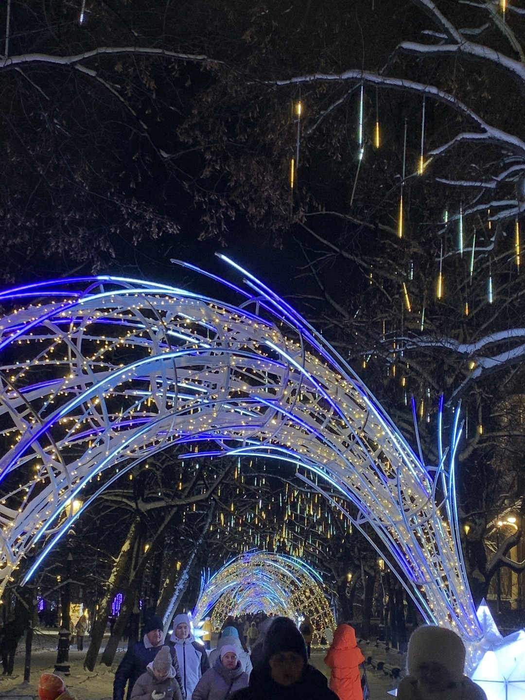 Новогоднее волшебство Петербурга (Ефремова)