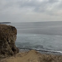 Фото отзыва 3: экскурсия "За яркими фото и морепродуктами — на остров Русский и мыс Тобизина!"