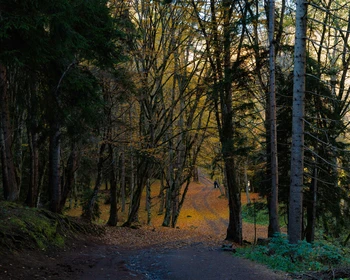 Крепость Рабат, Боржоми, отъезд