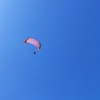 reviews img
