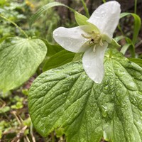 Фото отзыва 7: экскурсия "Сокровища побережья Сахалина&nbsp;— в&nbsp;мини-группе"