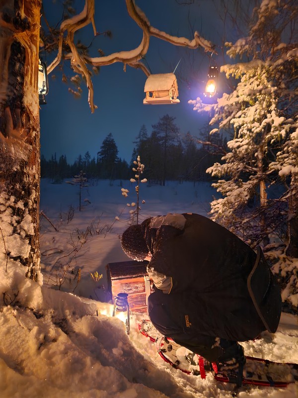 Виды Квест-экскурсия «Дремучий лес»